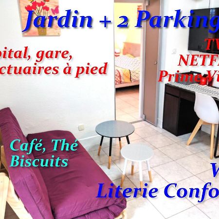 Ferienwohnung Au Petit Marcadal **Sanctuaires, Hopital, Gare** Lourdes Exterior foto